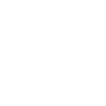 x icon